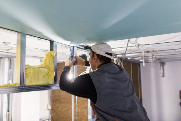 Best Insulation Installation Services in Hammond, WI