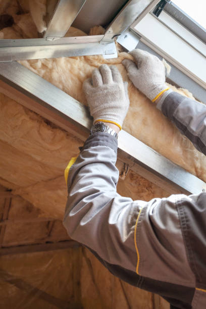 Best Insulation Maintenance and Repair in Hammond, WI